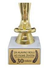 Za hlavnú rolu vo filme života 30 rokov
